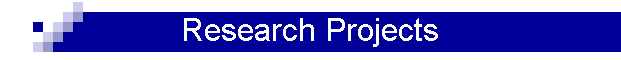 Research Projects